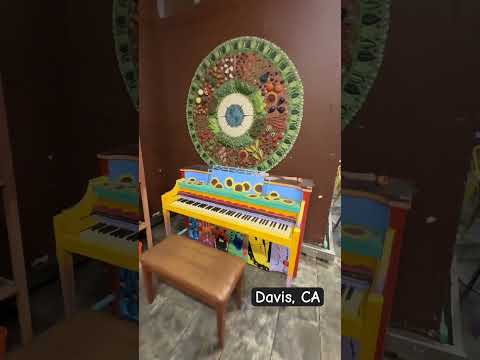 The Co-Op in Davis Cali has organic foods- #Shorts