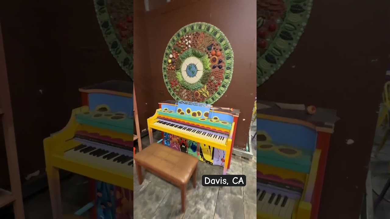 The Co-Op in Davis Cali has organic foods- #Shorts