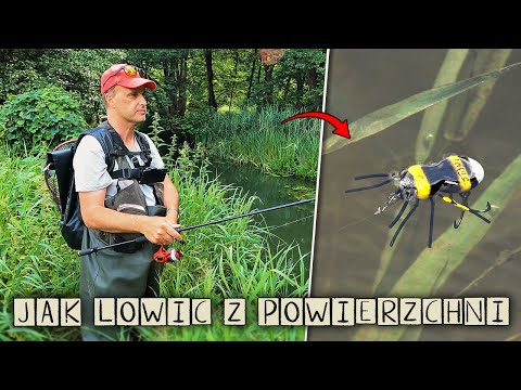 JAK ŁOWIĆ DUŻE RYBY na "SMUŻAKI" ?