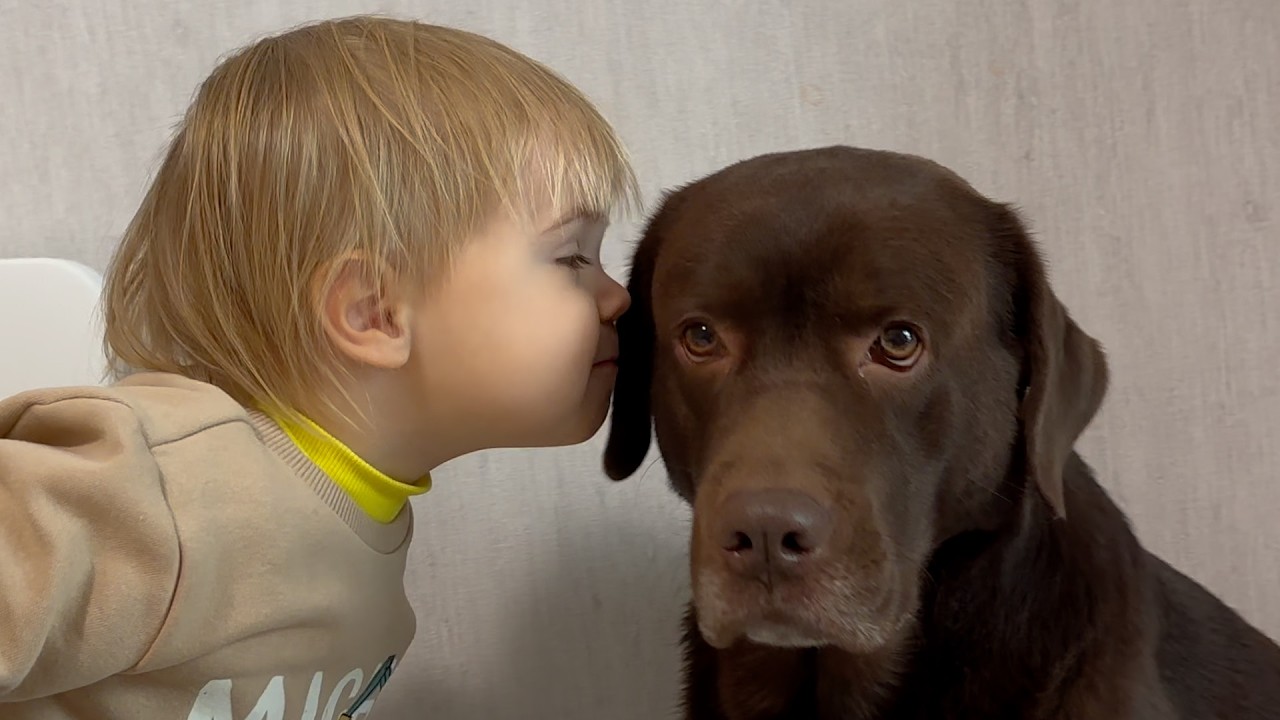 I’ve Watched It 5 Times! Cutest Dialogue Ever Between Baby and His Hungry Dog!