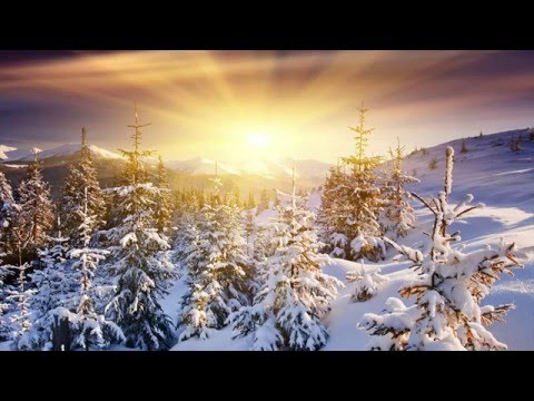 Spaze - Winter Sun