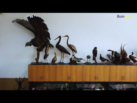 Colegiul Național Gheorghe Lazăr – 160 de ani de învățământ românesc - 4k |Booktes.com