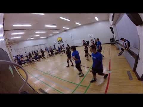 Wed WK 4 Plus Ultra, Hungry Hungry Hippogriffs, Llama Del Rey, Drunkin’ Gamballers