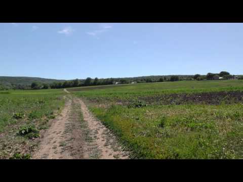 Situl arheologic de la Vlădiceni, punct „La Cânechiște”