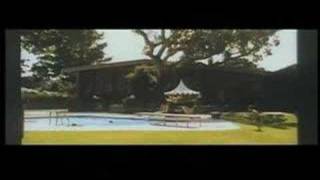 All The Money - The Dandy Warhols - Gothman