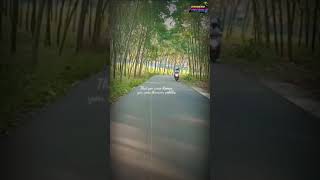 Download lagu Storywa di kebun karet watu gajah mp3