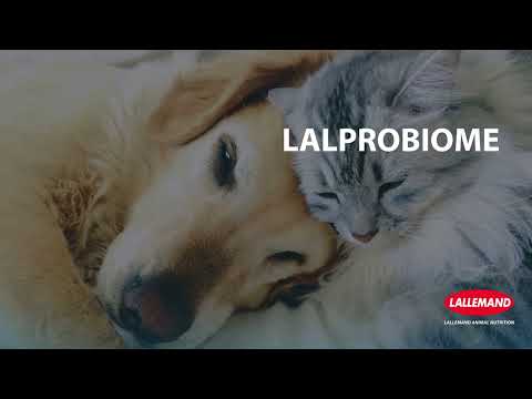 LALPROBIOME | Lallemand Animal Nutrition