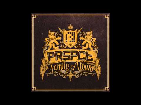 The PRSPCT Family Album Promo Mix Various Artists (PRSPCT LP 005)