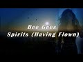 Bee Gees - Spirits (Having Flown) lyrics