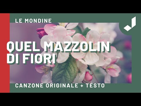 Le Mondine - QUEL MAZZOLIN DI FIORI (Canzone originale + Testo)