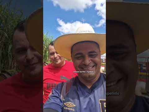 Los bonitos #ejemplares en las #carreras de cintas Sensuntepeque, Cabañas, El Salvador 🇸🇻🏇