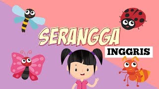 Belajar Mengenal Nama-nama Serangga dalam Bahasa Inggris Bagian 1 | Bunbun Learning Insect