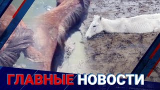 15.07.2021 21:00 Главные новости