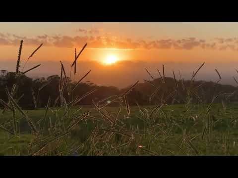 Playing šupelka on Bald Knob Rd_3Jan'23