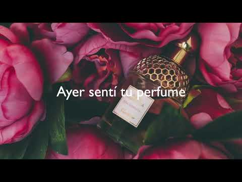 Srta. Dayana, Daniyel — Perfume [Letra]