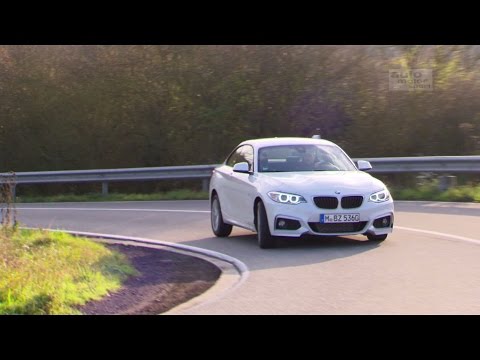 BMW 220d: Sparsamer Dynamiker - Die Tester | auto motor und sport