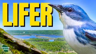 Birding Western Wisconsin's Best Spring Hotspot! (Wyalusing State Park)