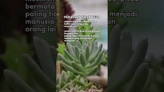 Download lagu penyejuk hati penenang jiwa@dtamunawarotulhuda6692 #quotes #shorts mp3