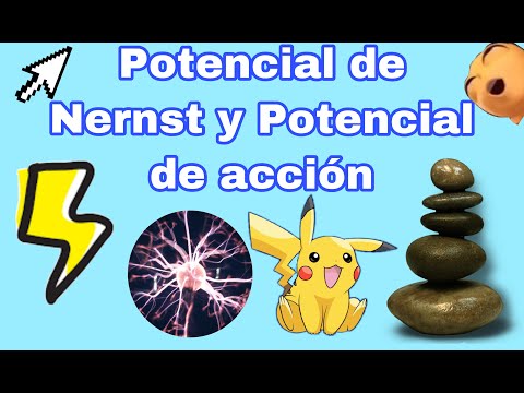 ¡DOMINA EL POTENCIAL DE ACCIÓN!