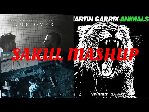Martin Garrix, Seth Hills, Loopers - Animals VS Out Of Control VS Game Over (Sakul Mashup)