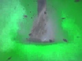 Green Screen Tornado