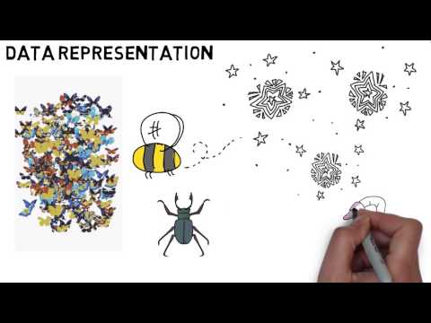 Data Representation - GCSE Computer Science Revision
