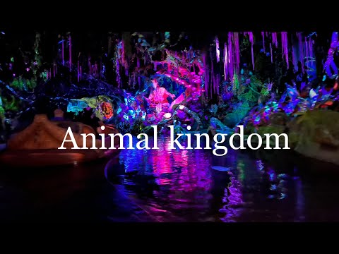 #disney #disneyworld  #animalkingdom walking tour 2022 #orlandotravelvlog #avatar land boat ride