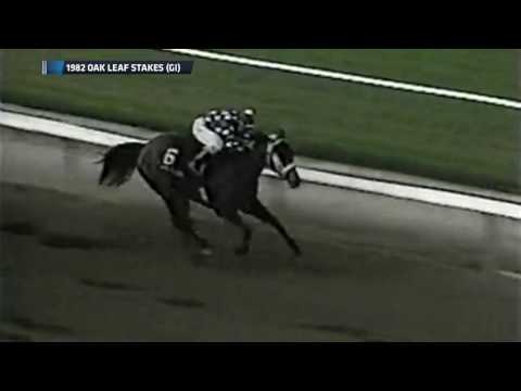 An Annual Tribute to Landaluce