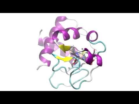 Cytochrome C
