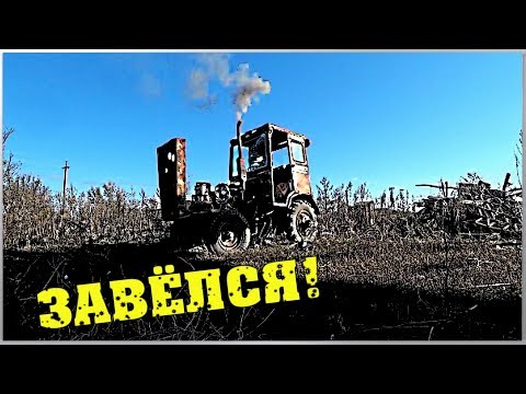 Завёл ТРАКТОР. Дорога назад. Привёз кошек / Семья в деревне