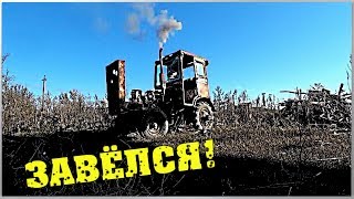Завёл ТРАКТОР. Дорога назад. Привёз кошек / Семья в деревне