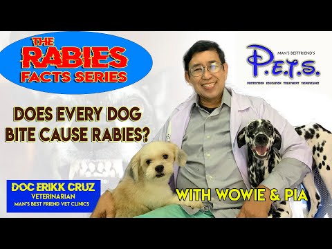 The Rabies Facts Series Part 6 - Does every dog bite cause rabies?