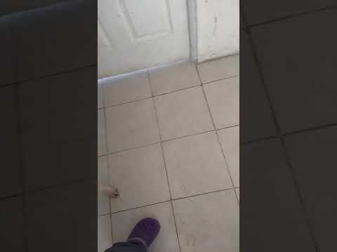 Nereyda Martínez Rescatista independiente