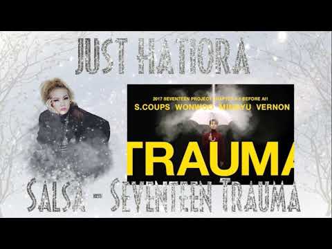 Seventeen Trauma (Cover By Salsa)