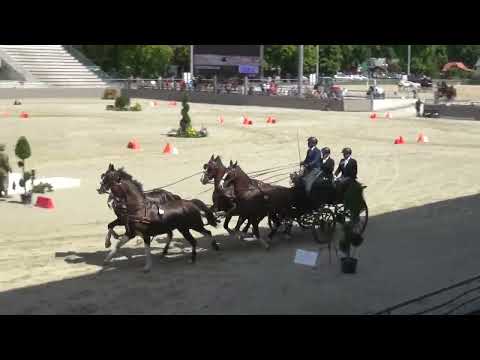Luca CASSOTTANA (ITA) - CAI***, H4, Szilvásvárad (Hungary), cones, 17.07.2022