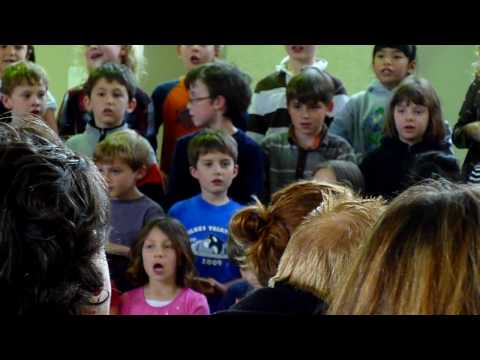 Hamsters Can't Play the Piano