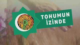 TOHUMUN İZİNDE TANITIM FİLMİ - HAZİRAN 2020 - TÜRKTOB