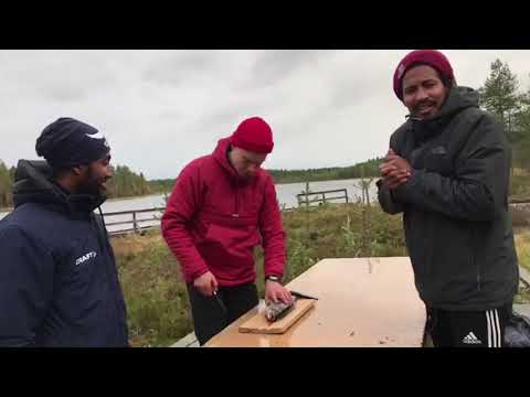 ACOTV Ennakko: AC Oulu - KPV 28.9.2018