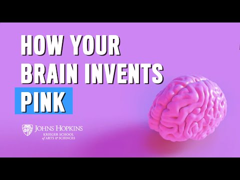 How Your Brain Invents Pink