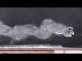 Firekites AUTUMN STORY - chalk animation video ...