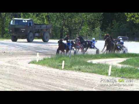 Prve kasaške dirke v Ljutomeru v sezoni 2013 