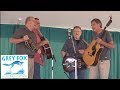 Dry Branch Fire Squad - Creekside Stage - Grey Fox 2018