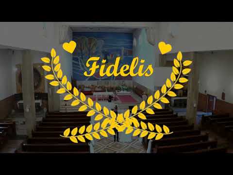 Fidelis - Obred vjenčanja (Knežija) - 7 pjesama - KNEŽIJA / ZAGREB