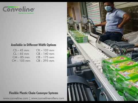 Flexible Chain Conveyor