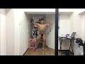 43日後に泣くワシ 2021/4/9 vlog 2日連続トレオフ ポージング&子守り散歩有酸素