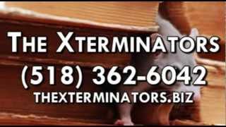 preview picture of video 'Pest Control Service, Termites Extermination in Fort Plain NY 13339'