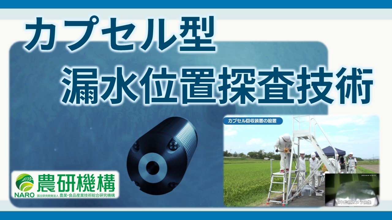 カプセル型漏水位置探査技術