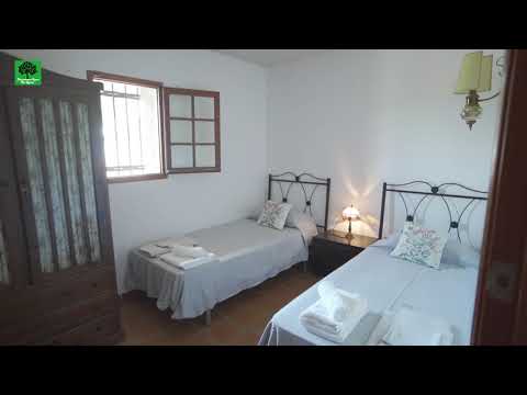 Cal Rector eng 130921