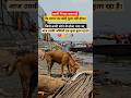 इंशान का कोई मूल्य नहीं होता Manikarnikaghat Sanatandh