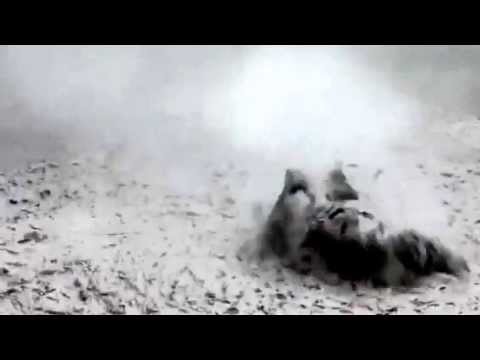 Boiling Mud Pool - Rotorua New Zealand